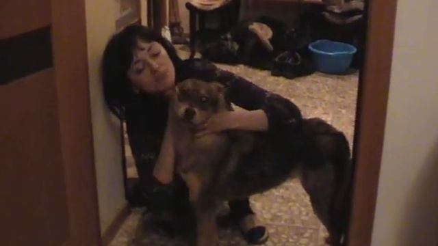 Карина ищет дом, г.Донецк смотреть онлайн