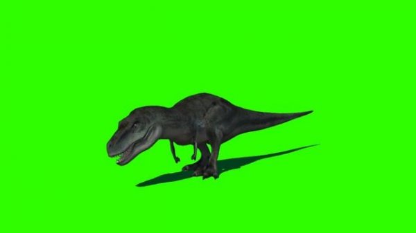 Ancient Animal Escape Green Screen - Animal Green Screen