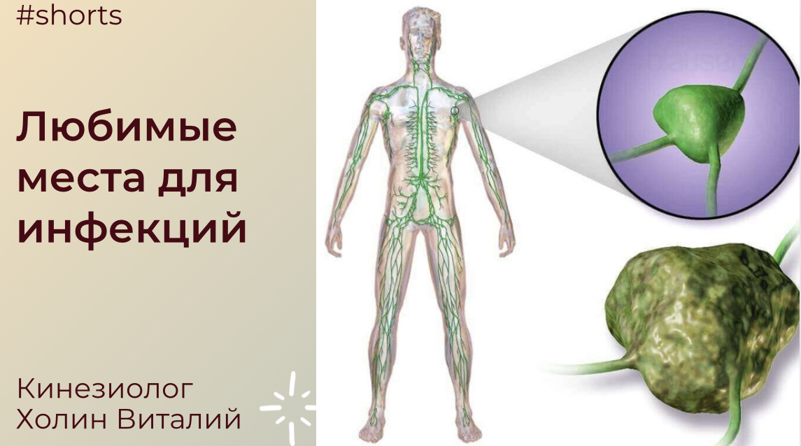 Любимые места для инфекций смотреть онлайн