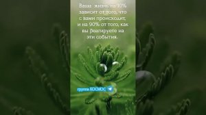 жизнь в истине