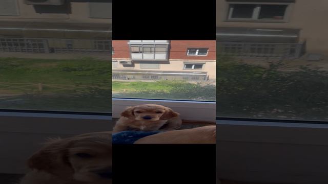 06-06-2024 смотреть онлайн