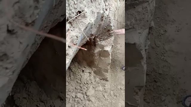 Александр Коц