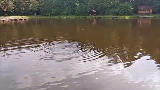 Ловля карпа на Верхнем. Уроки даром не проходят. Клёвое место лосиный остров. смотреть онлайн