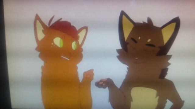 Коты-воителели|CW|Марьяна Ро-Идиоты| Белка и Ежевика смотреть онлайн