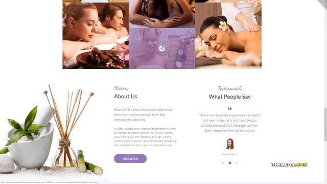 Asakura Sophisticated Beauty Salon WordPress Theme TMT salon templates смотреть онлайн