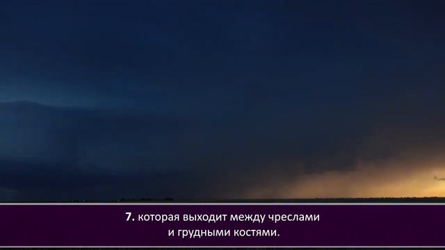 Файсал ар-Рушуд - Сура 86 "ат-Торик" (Ночной путник) смотреть онлайн