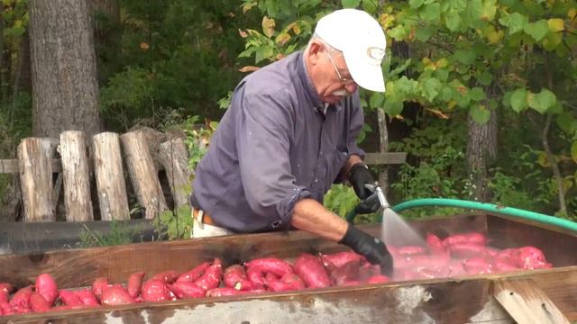 Redbud Farm Among Declining Small Farm Population смотреть онлайн