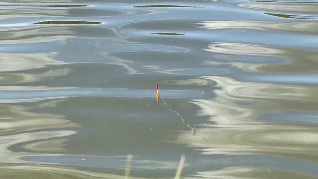 Платная Рыбалка в Ташле (Самарская область) смотреть онлайн