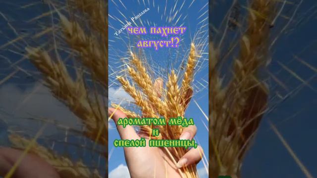 Добрый день АВГУСТ! (1 августа) музыкальная открытка. смотреть онлайн