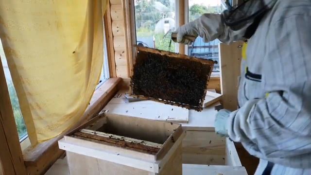 Апидомик на балконе. смотреть онлайн