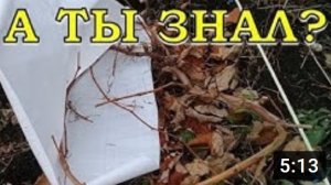Как правильно укрыть ВИНОГРАД на зиму????