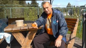 Кормление кур. Как, чем, сколько ?