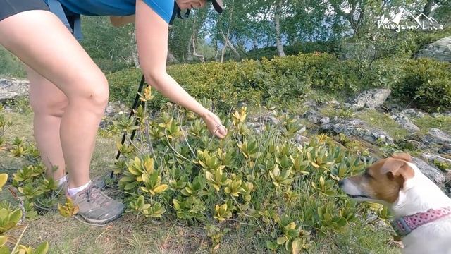 Во что превратилось озеро Орленок в 2024?! смотреть онлайн