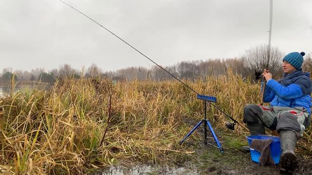 КОГДА не КЛЮЁТ! Пытаемся поймать рыбу на фидер глубокой осенью! Осетр на фидер! Рыбалка 2020! смотреть онлайн