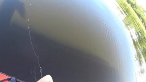 Рыбалка на кольцо Волга#ловля леща на кольцо #Рыбалка