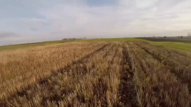 Как искать зайца ? Как охотиться с подхода? Охота с подхода смотреть онлайн