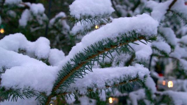 Stille Nacht, alt смотреть онлайн