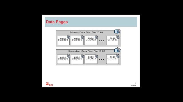 SQL SERVER DBA DEMO BY TRAININGICON смотреть онлайн