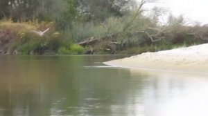 Хопёр, байдарка, лето. Сплав на байдарке по Хопру.