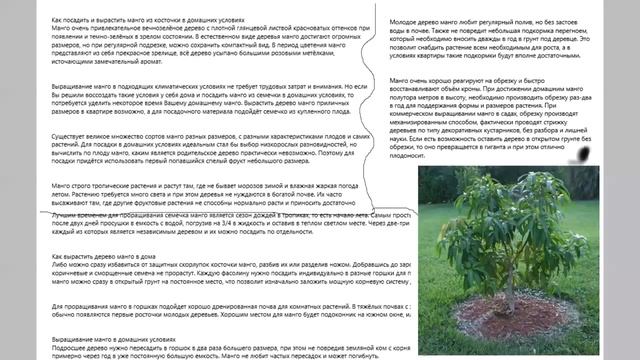 как посадить манго в домашних условиях смотреть онлайн