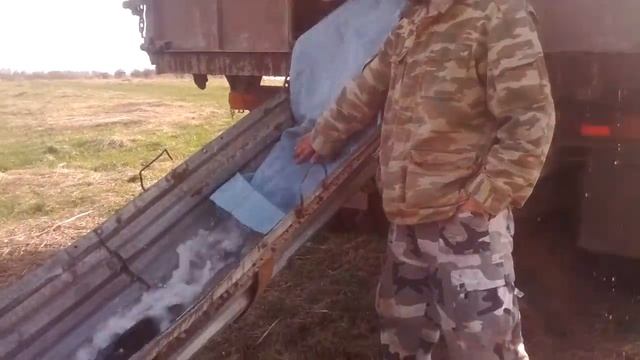 Сухая Липовица,зарыбление прудов смотреть онлайн