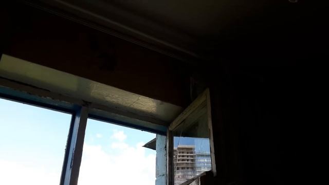 Стрижи ищут место для гнезда и залетают в окна. смотреть онлайн