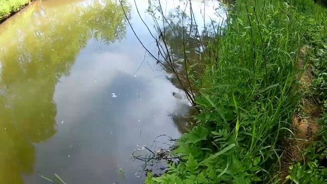 ПОКАТУШКИ НА КВАДРОЦИКЛЕ/ПОЕХАЛИ В СОСЕДНЮЮ ДЕРЕВНЮ смотреть онлайн
