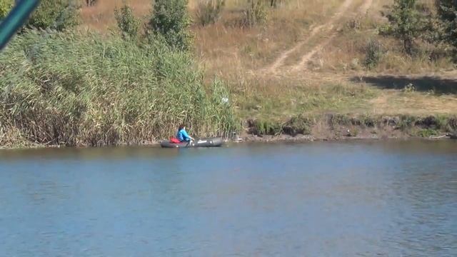 Вываживание белого амура смотреть онлайн