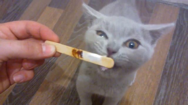 Вкусное Мороженое - Yummy Ice Cream смотреть онлайн