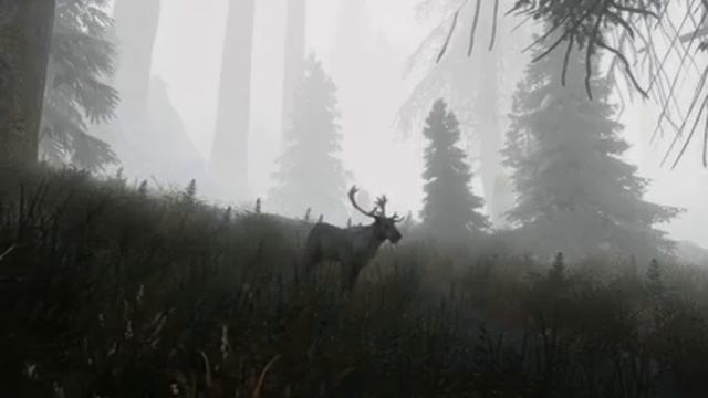 Skyrim Insane Graphics Next-Gen(130+mod) GTX 980 ita #9 смотреть онлайн