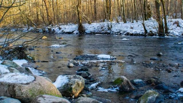 1 Час - Флейта Нежная - лечебная музыка для сердца и сосудов, релакс, медитация, спа, учеба # смотреть онлайн