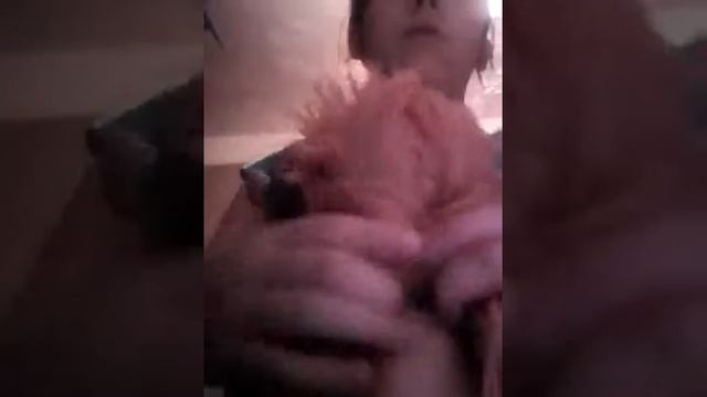 Прическа рыбий хвост. смотреть онлайн