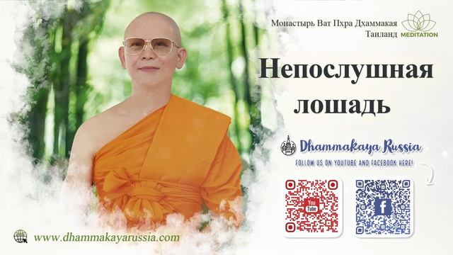 Dhammakaya Meditation - An Unruly Horse - Непослушная лошадь (Медитация+Музыка) смотреть онлайн