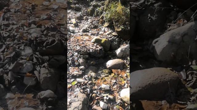 Прогулка вверх по течению реки Нальчик смотреть онлайн