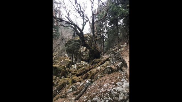 Скучный рассказ с многочисленными повторами о бренде «Брюс Ли» (V. S.) смотреть онлайн