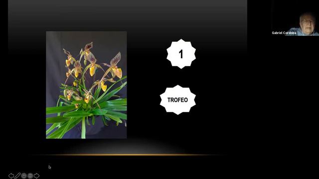 JUZGAMIENTO VIRTUAL DE ORQUÍDEAS - JUNIO 2021 смотреть онлайн