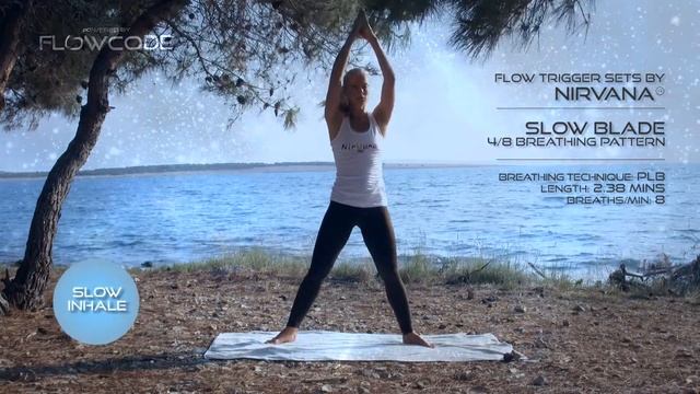 Flow Nirvana - Trigger Set #2 (FlowCode) / Flow State Training