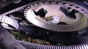 Замена ГРМ citroen 1.4 hdi