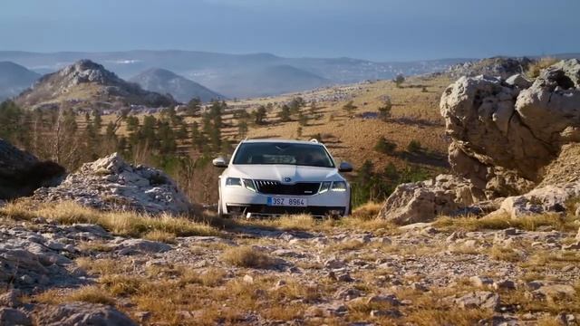 Skoda Octavia A7 Scout