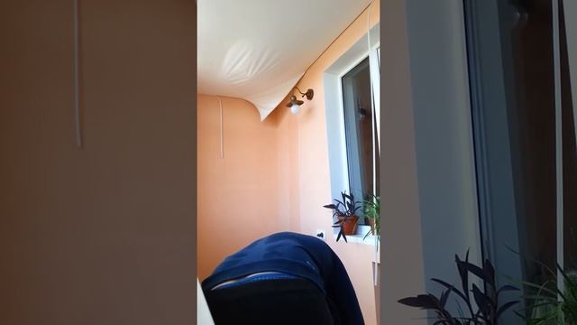 Строительные Изыски