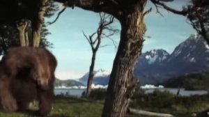 10 Вымерших Животных, Которых Собираются Воскресить