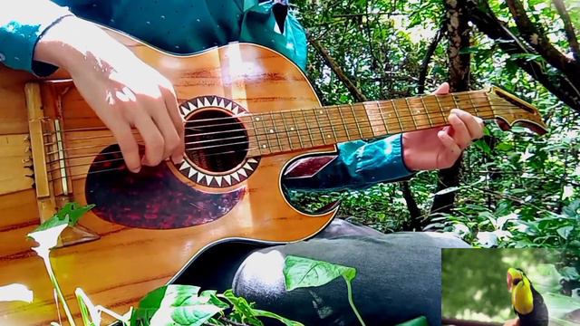 Tu fidelidad (FERNANDO MATIZ)GUITARRA ACUSTICA🦟 смотреть онлайн