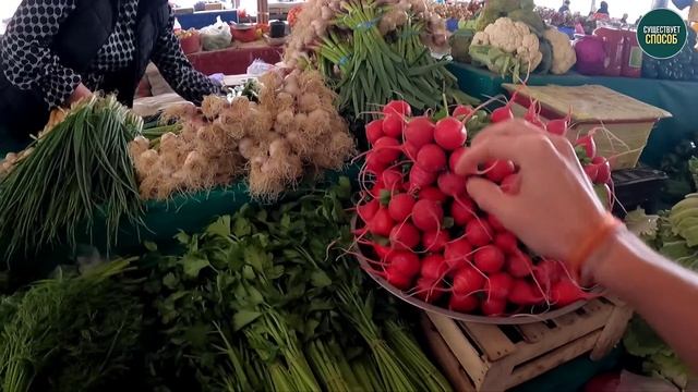 РЫНОК ЧОРСУ. ЦЕНЫ 2023. КАК ВСЁ ПОДОРОЖАЛО ПОСЛЕ НАПЛЫВА РОССИЯН. УЗБЕКИСТАН. смотреть онлайн