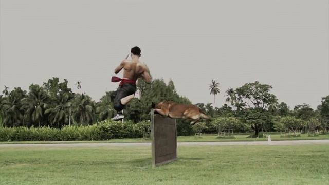 Tony Jaa Demo Reel 2013 [HD]