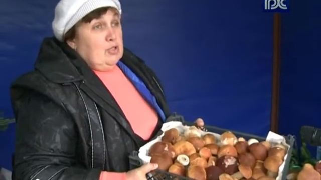 С начала грибного сезона в лесах Череповецкого района заблулись 28 человек смотреть онлайн