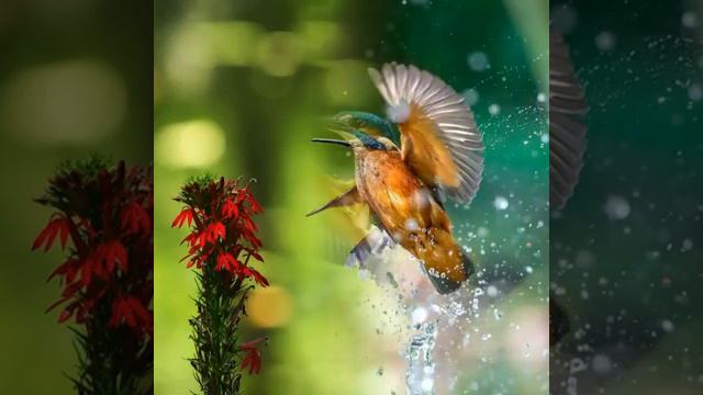 ,, С добрым утром! "🌞 смотреть онлайн