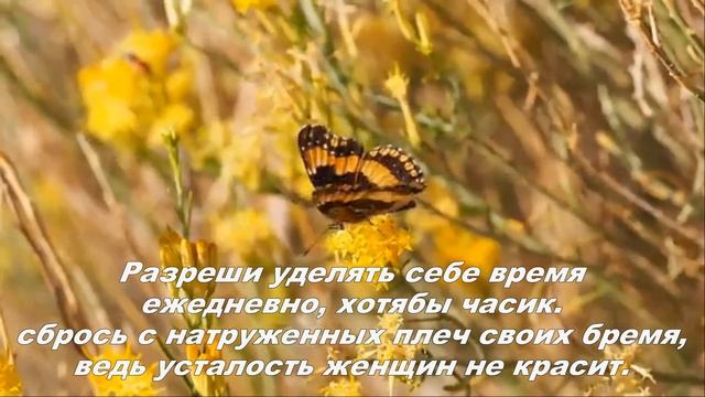ЛЮБИ СЕБЯ смотреть онлайн