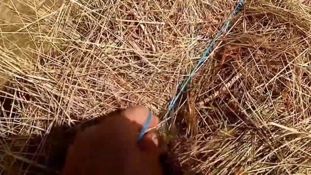 Сенокос идёт к концу. смотреть онлайн