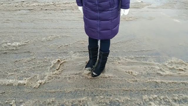 Прогулка 08.01.2020, Nordman Selena (пос.Богородское) смотреть онлайн