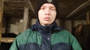 Глисты у кур несушек/Чем лечить кур несушек от глистов?